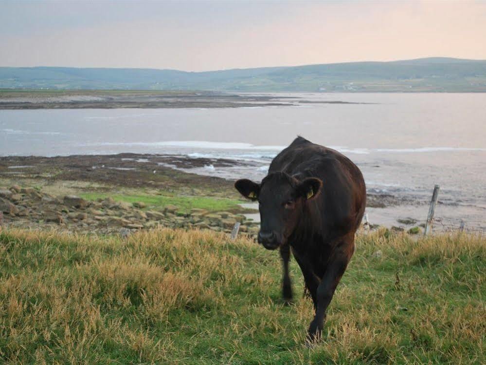 Killala Creevagh Heights B&B מראה חיצוני תמונה